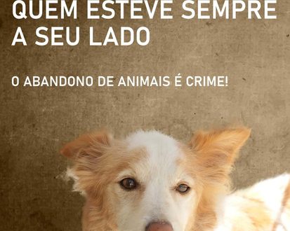 Olhão lança campanha contra abandono de animais de companhia nas férias